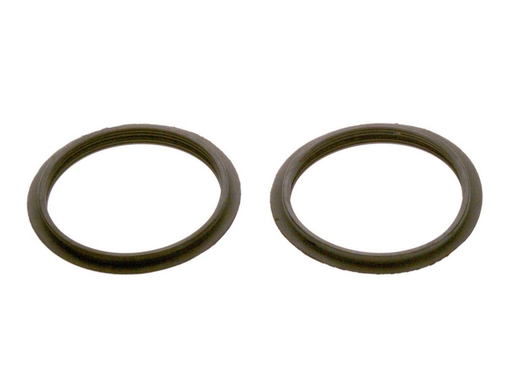 BOSCH Dichtring D59mm (2x), 8737711102