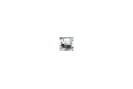 BRÖTJE Schmiermittel Schnellverbinder, 816885