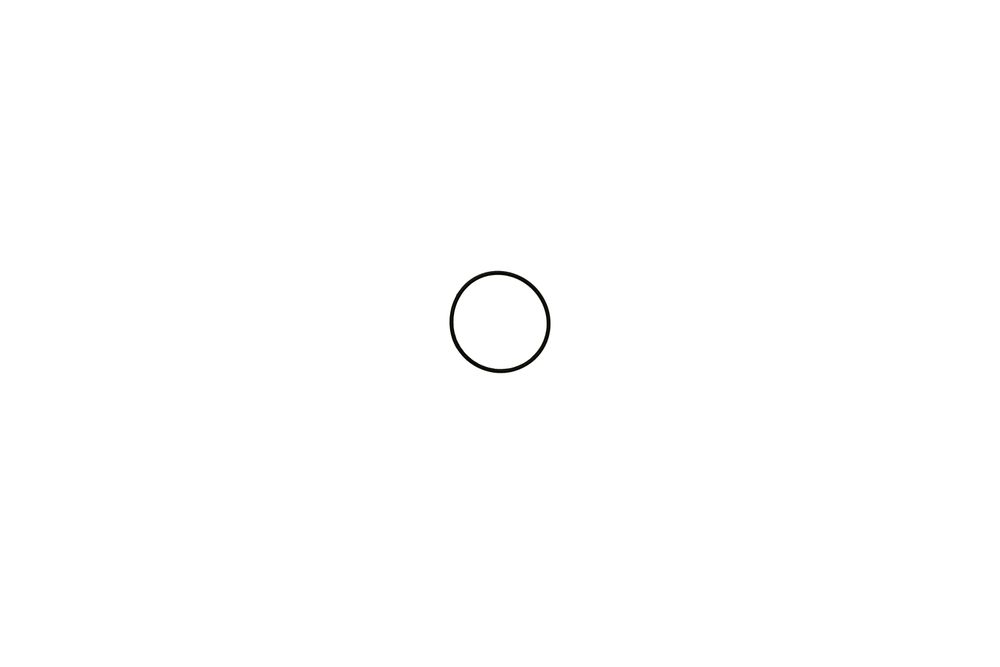 BRÖTJE O-Ring 42 x 2, 620413