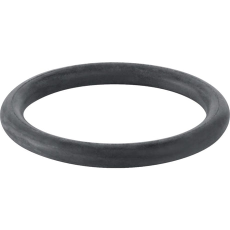 Geberit O-Ring für Ablaufstutzen, 892975001