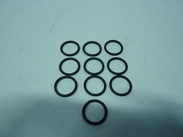 Remeha  O-Ring 20.3x2.62 (10x), 200021826