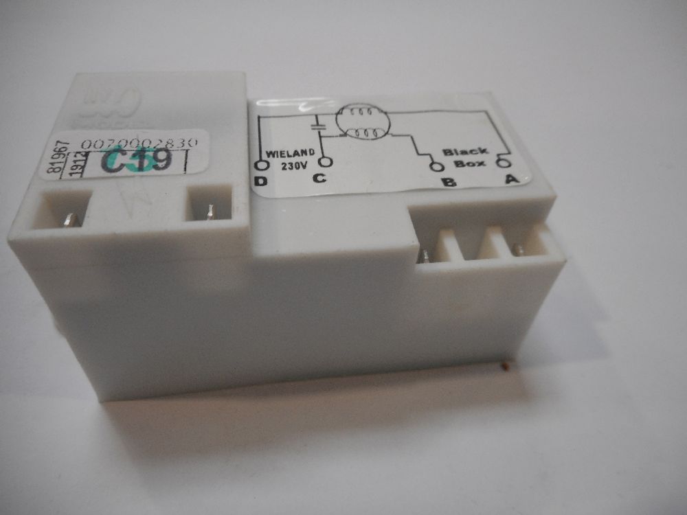 Remeha  elektrischer Filter, 300028323