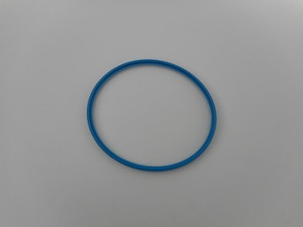 Remeha  Dichtungsring D.150mm, S100638