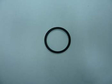 Remeha  Dichtring D 60mm, S101580