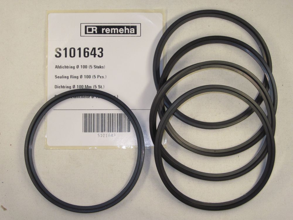 Remeha  Dichtung D 100 (5x), S101643