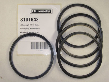 Remeha  Dichtung D 100 (5x), S101643