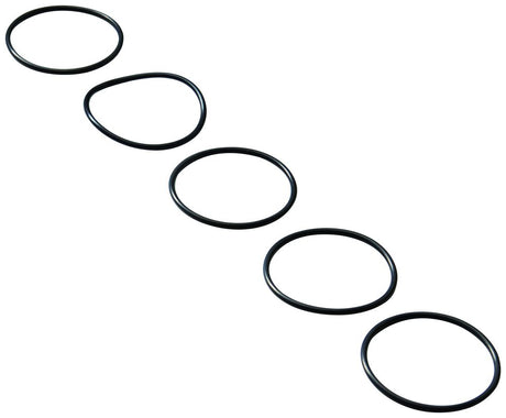 GROHE O-Ring 01288 35x2 5 Stück, 0128800M