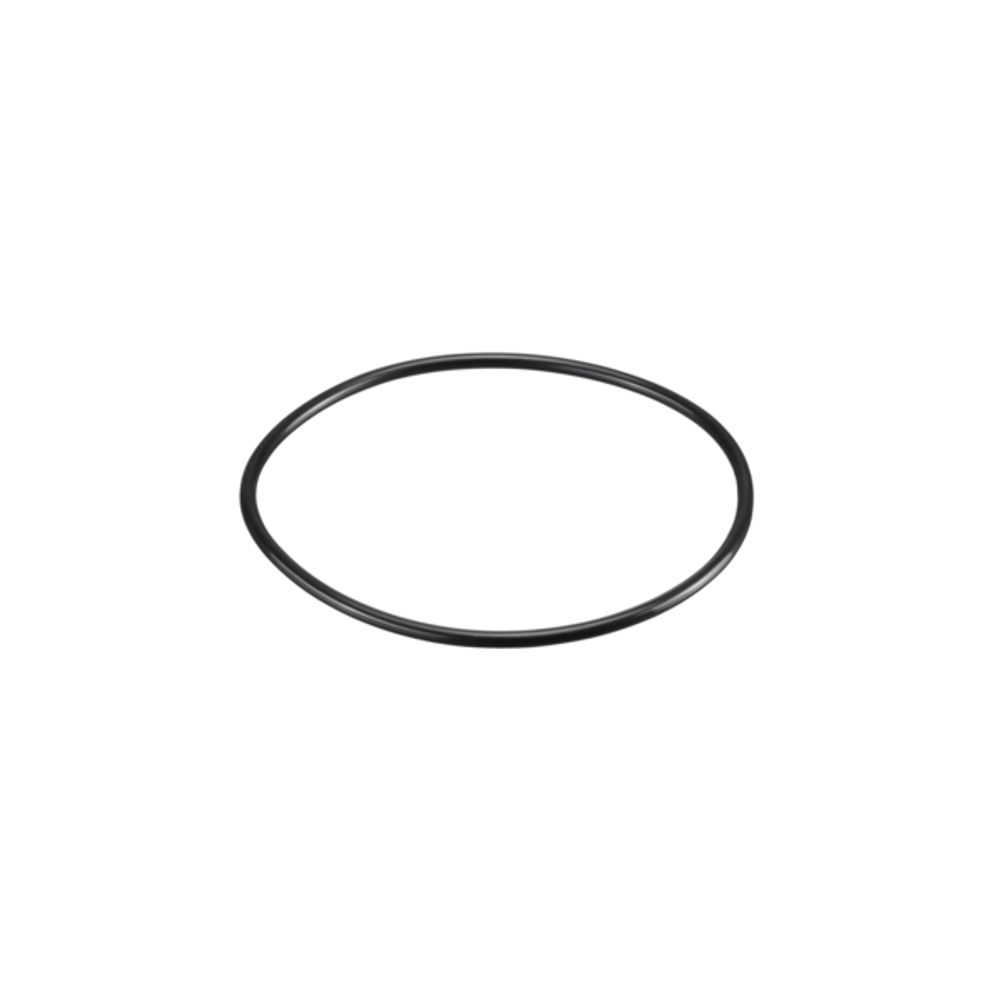 OVENTROP O-Ring zur Montage der Filtertasse für Aquanova Compact, 6120595