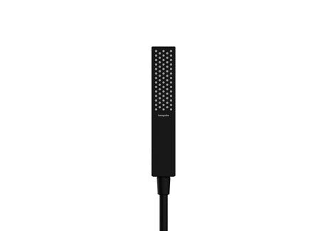 hansgrohe Pulsify E Stabhandbrause 100 1jet EcoSmart Mattschwarz, 24320670