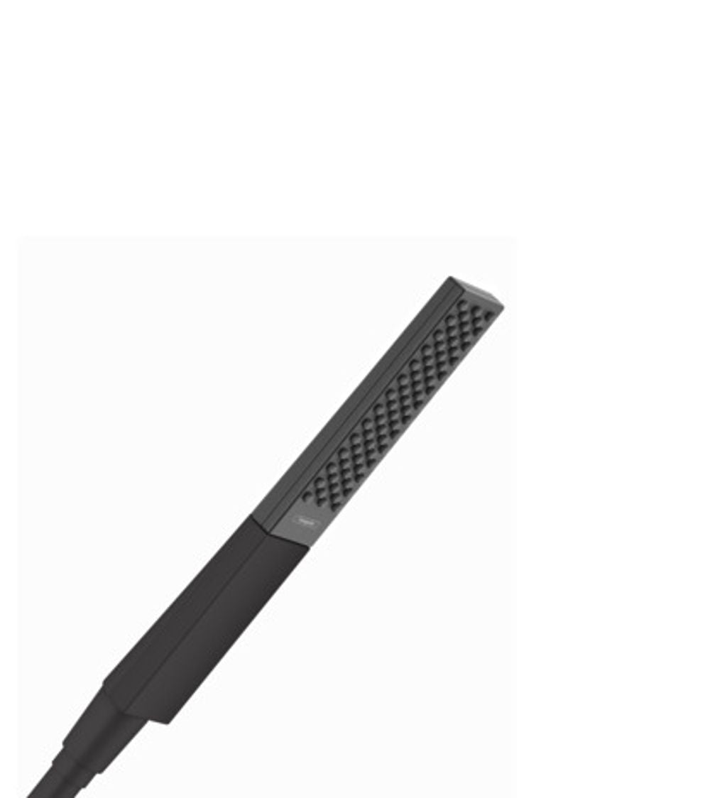 hansgrohe Rainfinity Stabhandbrause 100 1jet Mattschwarz, 26866670