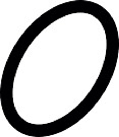 Hansgrohe HG O-Ring 30x3mm, 98152000