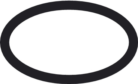 Hansgrohe HG O-Ring 21x2mm, 98205000