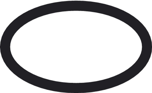 Hansgrohe HG O-Ring 21x2mm, 98205000