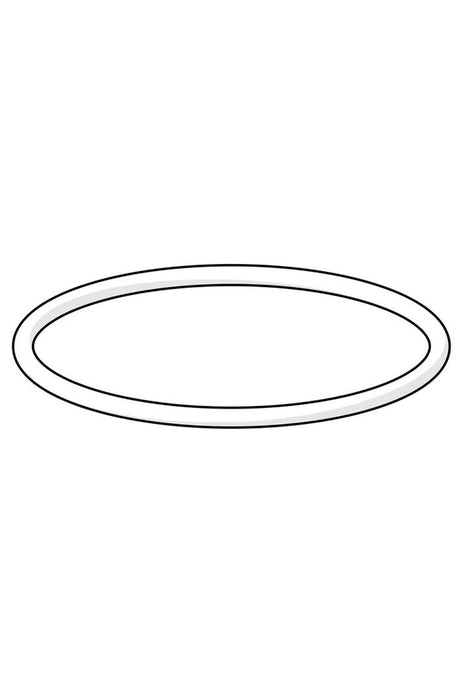 HANSA O-Ring HANSASTELA 42,00X 2,00, 59913173
