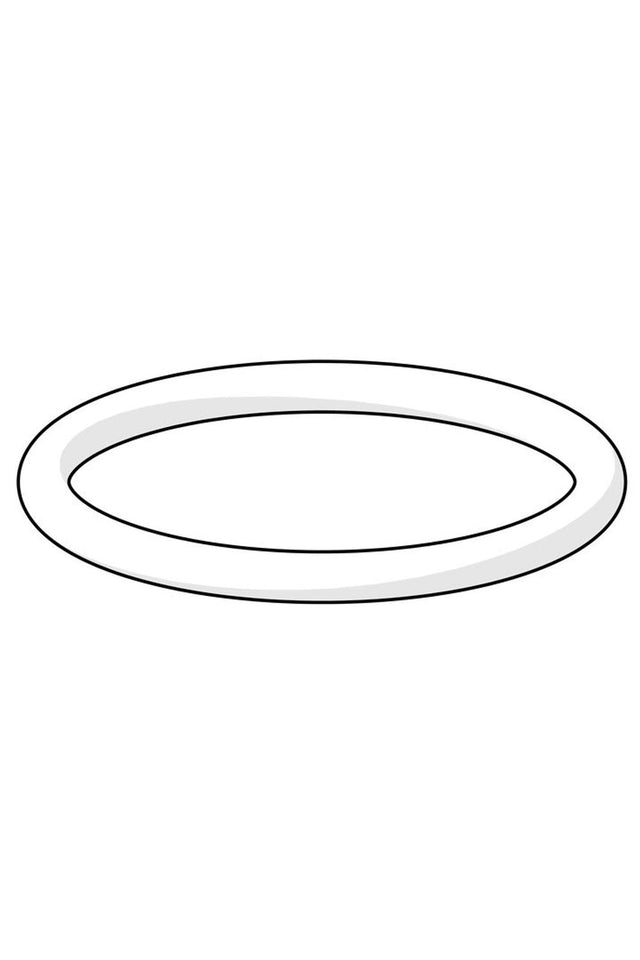 HANSA O-Ringsatz HANSA d 24,0 x 2,0, 59911835