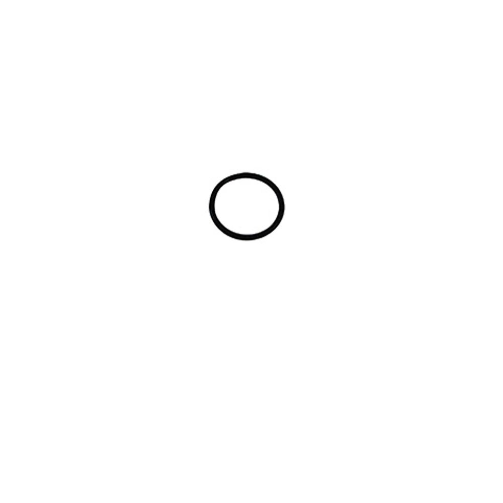 KLUDI-Ersatzteil O-Ring 22 X 2, 92503811-00