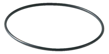 SYR Ersatzteil O-Ring zur Filtertasse für Drufi max, 2315.00.941
