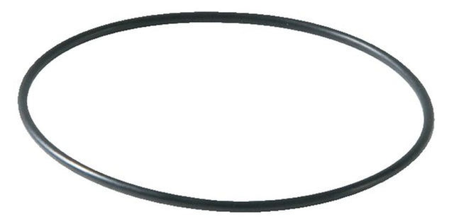 SYR Ersatzteil O-Ring zur Filtertasse für Drufi max, 2315.00.941