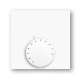 Raumregelthermostat Aufputz Heizen 24V, für die Wandbefestigung, MC10000246