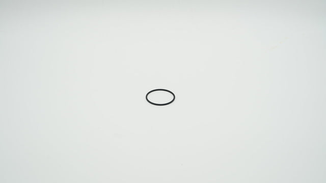 BWT O-Ring für Filtertasse E1, 1-904441