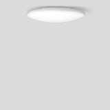 LIMBURG-GLAS LED-Anbauleuchte 28,7W ws 12163K3 3000K 2437lm Konv DALI