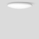 LIMBURG-GLAS LED-Anbauleuchte 35W 3000K 12164K3 3640lm ws Konv DALI