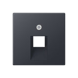 JUNG Zentralplatte UAE/IAE 1f anth A 569-1 BFPLU NM Schraubbef