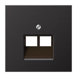 JUNG Zentralplatte UAE/IAE 2f alu LS AL 2969-2 UA D Schraubbef