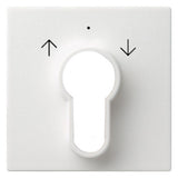 GIRA Schlüssel/Abd Jalousie rws glz System 55 066403 Pfeile