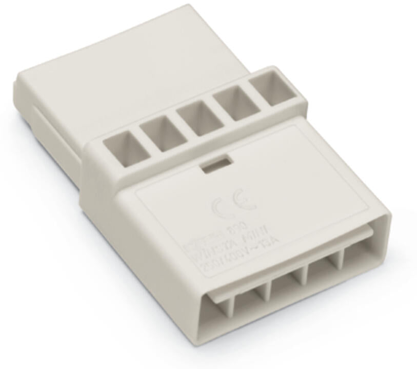 WAGO Zwischenkupplung PA 5Eing 5p 5Ausg Serie 890 890-655 250V 16A IP20 hfr