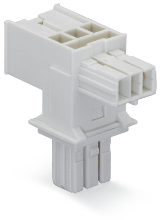 WAGO T-Verteiler PA 2Eing 2p 4Ausg 50V Serie 893 893-1656 3A IP20 hfr