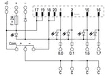WAGO Übergabemodul 20p 50V 2A Federzug Serie 704 704-2044 Steckanschl TS35