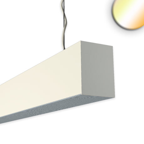 PROLAMP30FIDhs Pendel 39W weiß 1180mm Linse 60° Sys-Pro Funk dimmbar CCT + RGB + WW - Beleuchtung