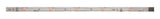 DOTLUX LED-Streifen 48W 10mm 2700K IP66 5m-Rolle inkl. 50cm Anschlusskabel beidseitig