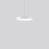 RZB LED-Pendelleuchte 1LED 4000K 6050lm TRIONA 312422.002.1.730 Konv sym IP20