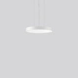 RZB LED-Pendelleuchte 1LED 3000K 3700lm TRIONA 312426.002.76 Konv sym IP20
