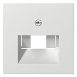 GIRA Zentralplatte UAE/IAE rws System 55 027027 Schraubbef