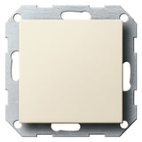 GIRA Zentralplatte Blindabd cws System 55 026801 Schraubbef