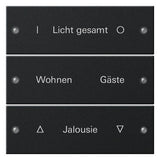 GIRA Tastwippe KNX sw mt System 55 2203005