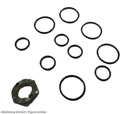 Dichtungssatz Alco KS 30040-2 für 110RB