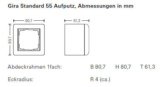 GIRA Gehäuse AP 2f Kst cws glz AP-Geh Standard 55 106201 IP20
