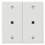 GIRA Wippe_2t Jalousie rws glz System 55 538603 Pfeile
