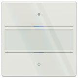THEBEN Tastsensor UP ws glz 2f 2pkt LED LUXORliving iON2 G WH inkl.Ankoppl
