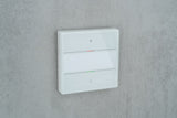 THEBEN Tastsensor UP ws glz 2f 2pkt LED LUXORliving iON2 G WH inkl.Ankoppl