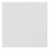 GIRA Zentralplatte Blindabd 1f rws System 55 810803 Klemmbef