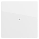GIRA Kontrollwippe Schalter rws glz 329070
