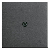 GIRA Zentralplatte Kabelausl anth System 55 027428 Schraubbef