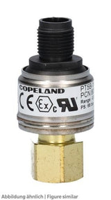 Druckaufnehmer Alco PT5B-10M bördel, M12-0,8/10bar, 4-20mA,ohne Kabel PT4-M..FLR