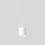 BEGA LED-Pendelleuchte 1LED 3000K 857lm 50612.1K3 Konv sym IP20