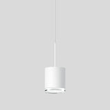 BEGA LED-Pendelleuchte 1LED 3000K 1151lm 50613.1K3 Konv sym IP20